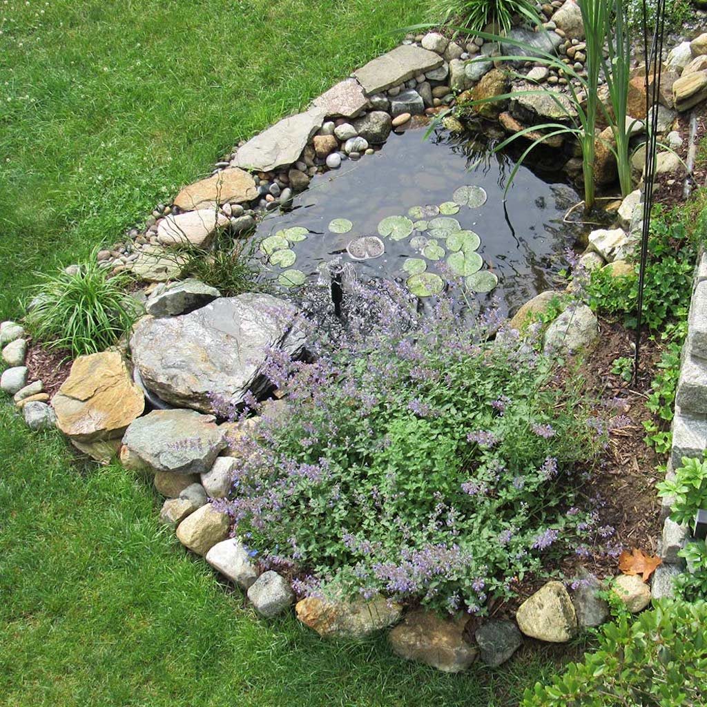 Cómo hacer un Jardín Pantanoso